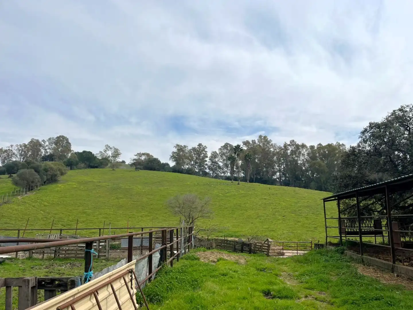 Exterior view of Country homes for sale in Jimena de la Frontera