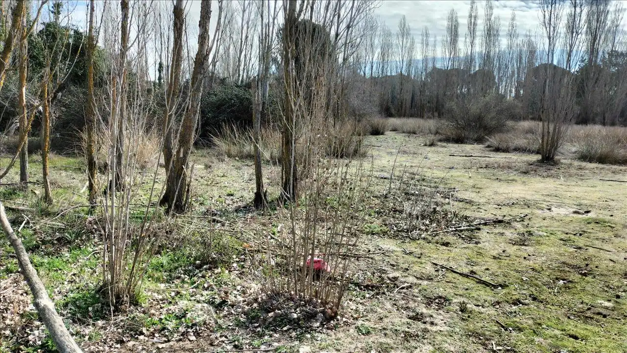 Residential land for sale in SECTOR 9 LA ESTACION, imagen 5
