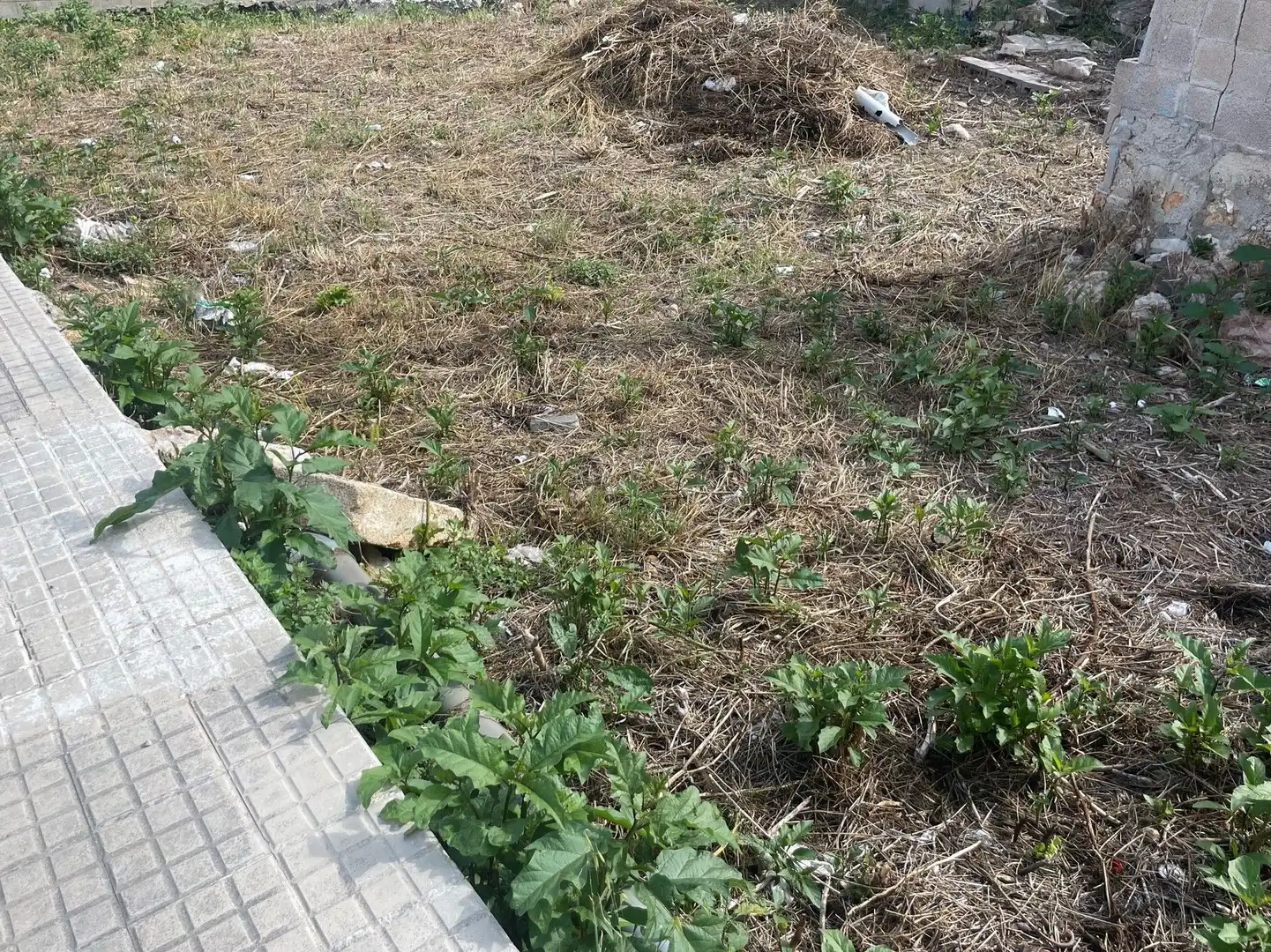 Residencial en venta en Lloseta