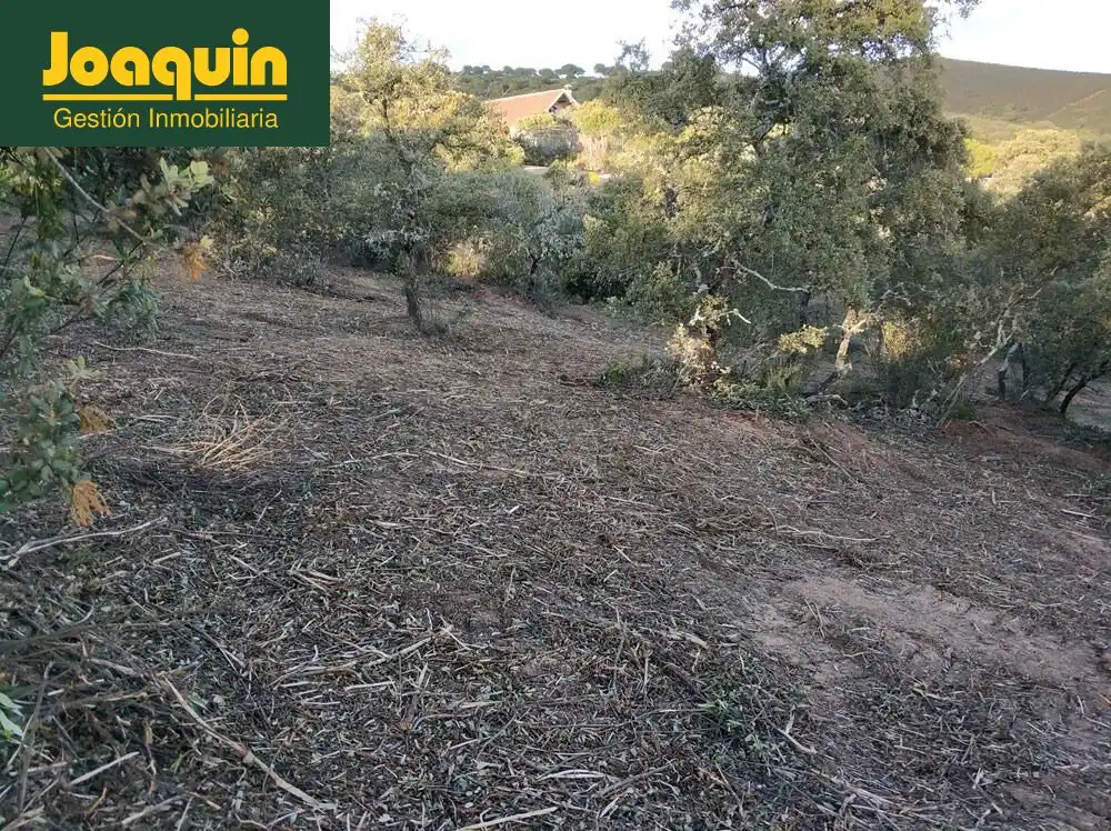 Terreno en venta en Obejo