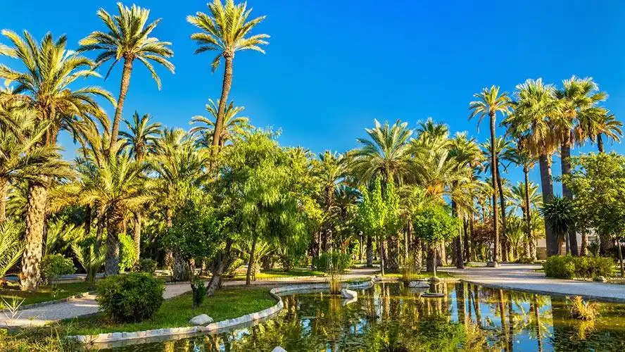 Exterior view of Flat for sale in Elche / Elx  with Balcony