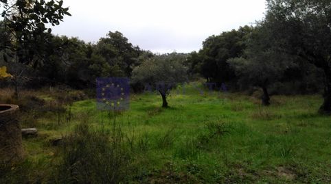 FINCA GANADERA DE UNAS 350 HECTÁREAS EN LA ZONA DE ALISEDA, imatge 2