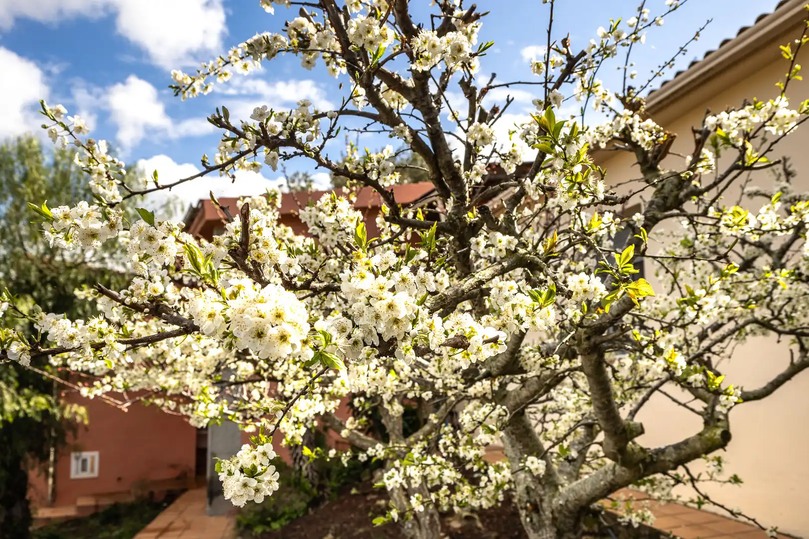 House with pool for sale in Olivella, imagen 85