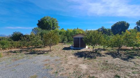 Gran oportunidad. Ollauri. Bonita finca rústica de 1.247 m2 en el precio de 30.000 €.