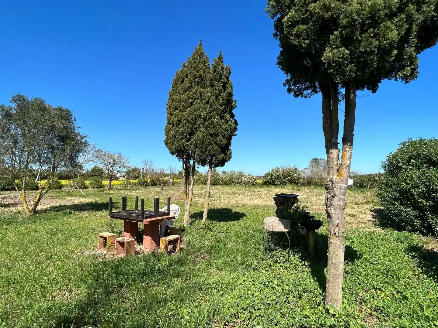 Terreno rústico en venta en Porreres, imagen 2