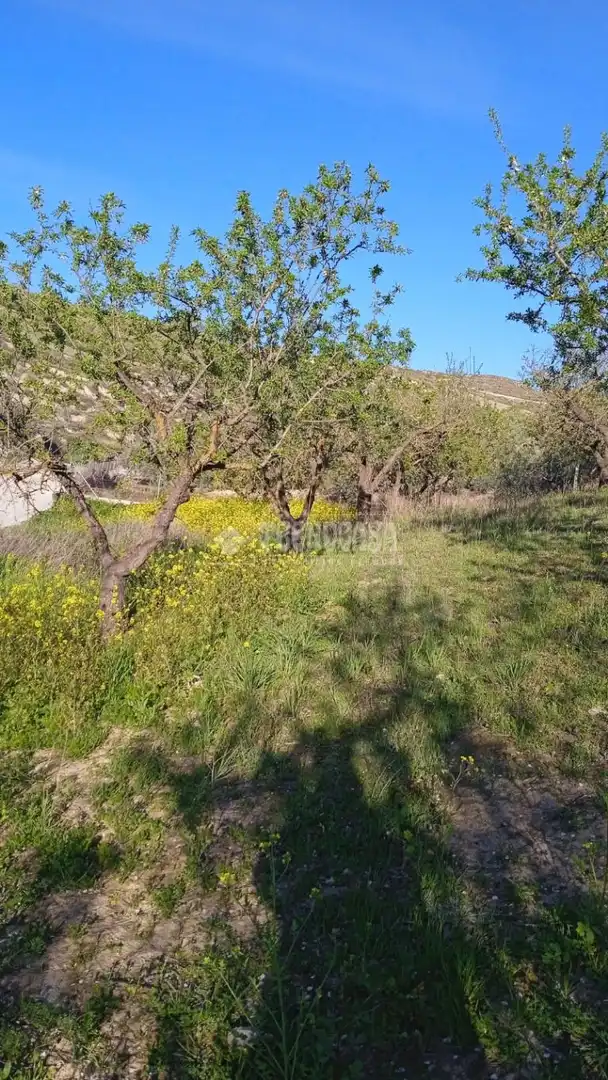 Rustikales Grundstück zum Verkauf in Gójar, imagen 15