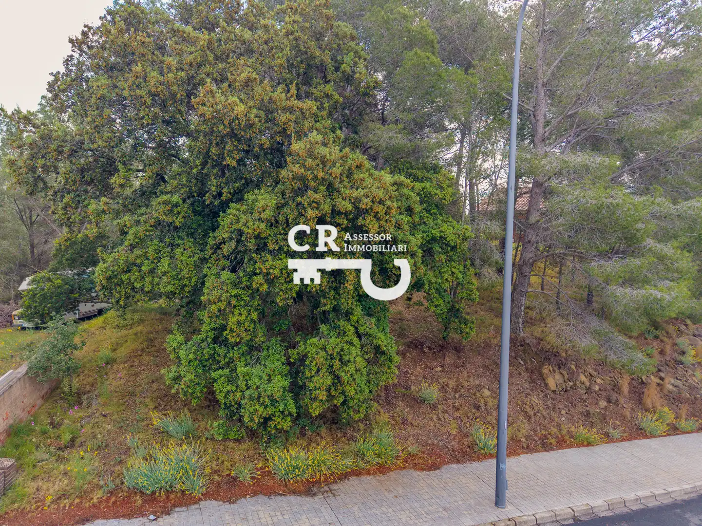 Residencial en venta en Almoster