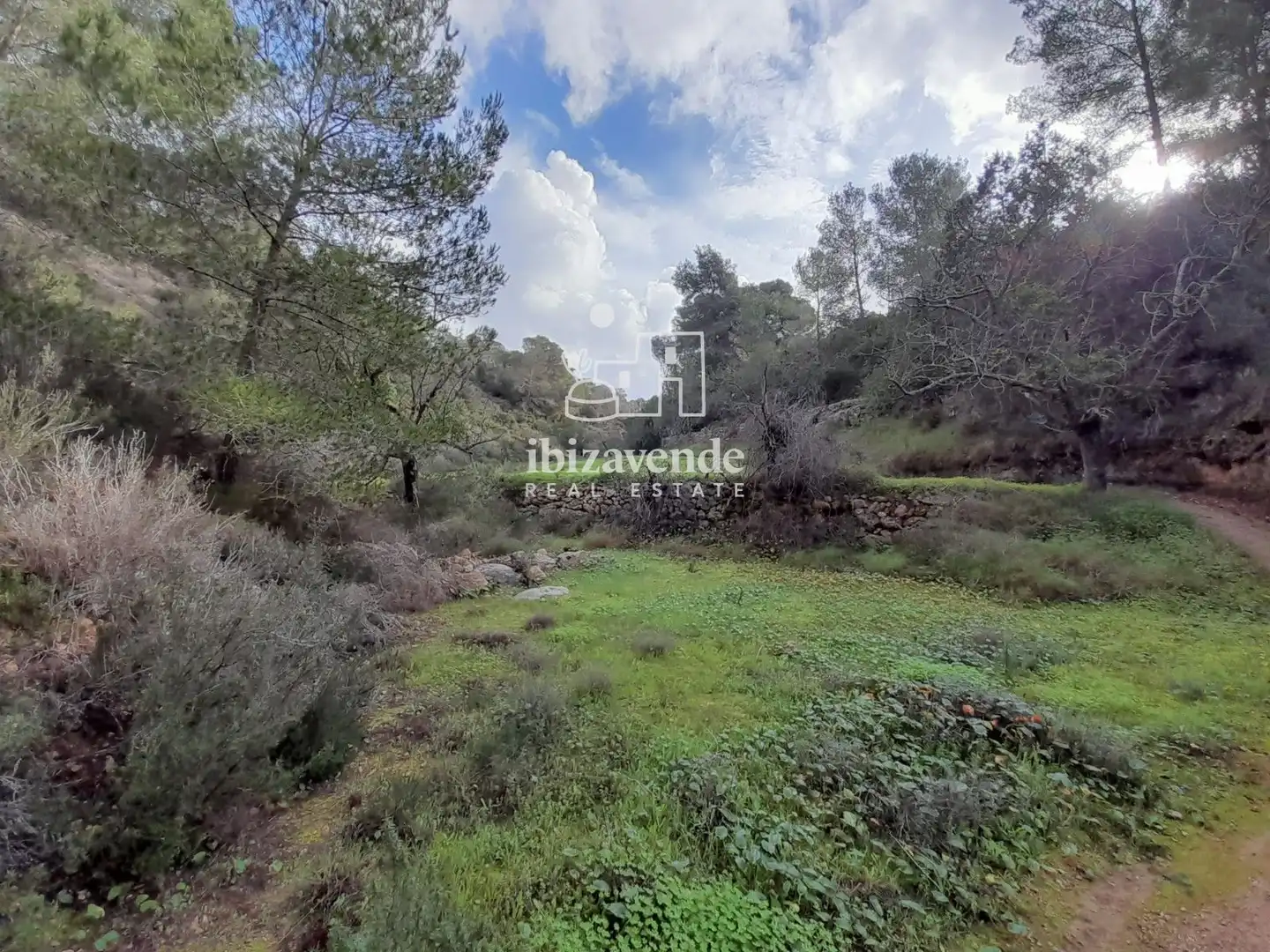 Terreny rústic en venda a de cala tarida, imagen 19