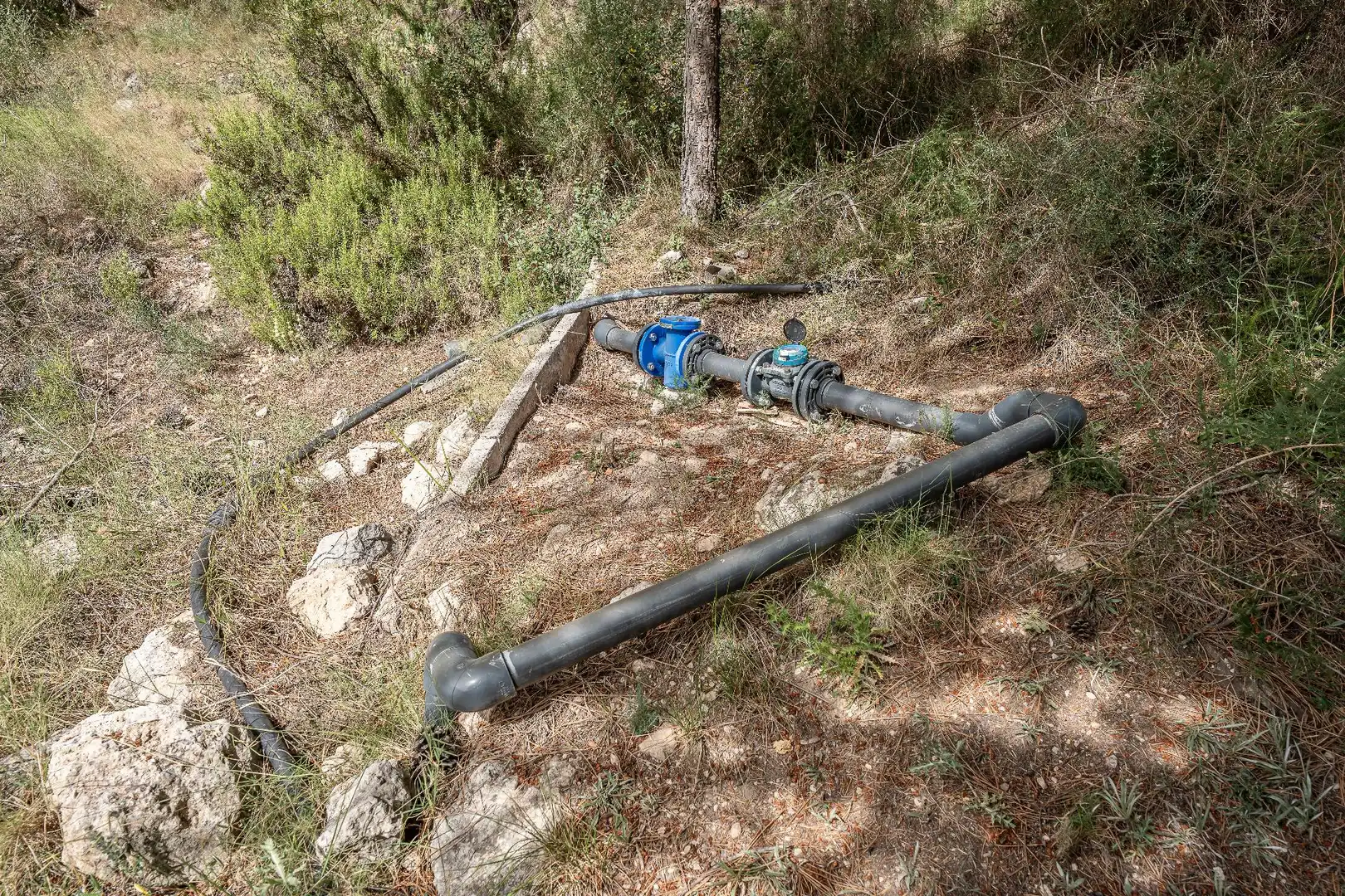 Jardín de Finca rústica en venta en Moratalla con Piscina