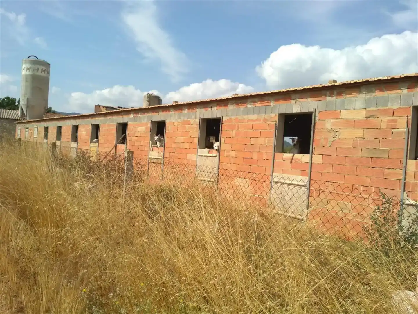 Exterior view of Land for sale in Talayuelas