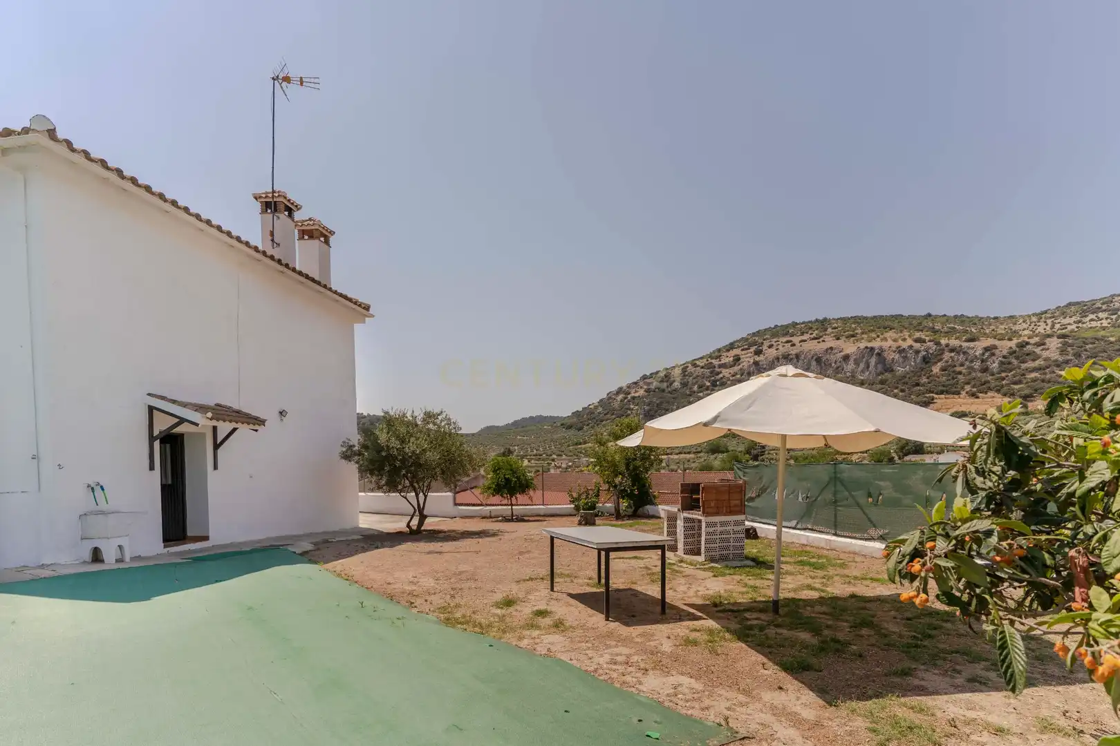 Jardín de Casa o chalet en venta en Colomera con Jardín privado, Trastero y Piscina