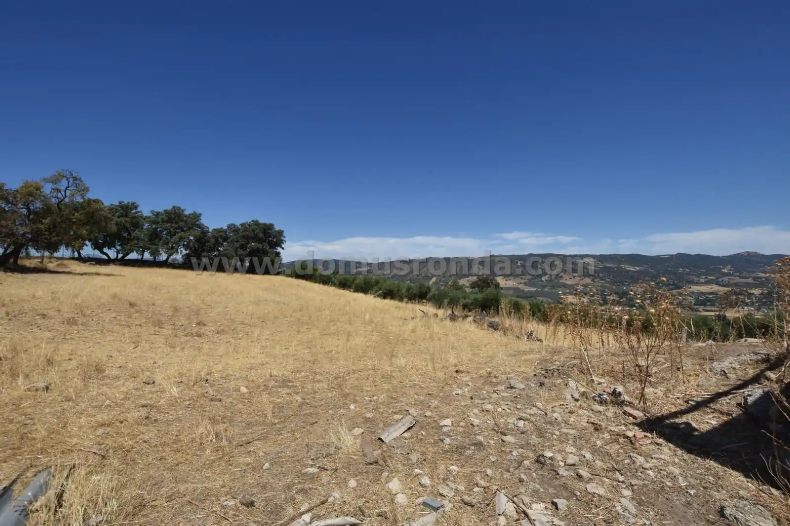 Finca rústica en venda en Ronda amb Terrassa i Traster