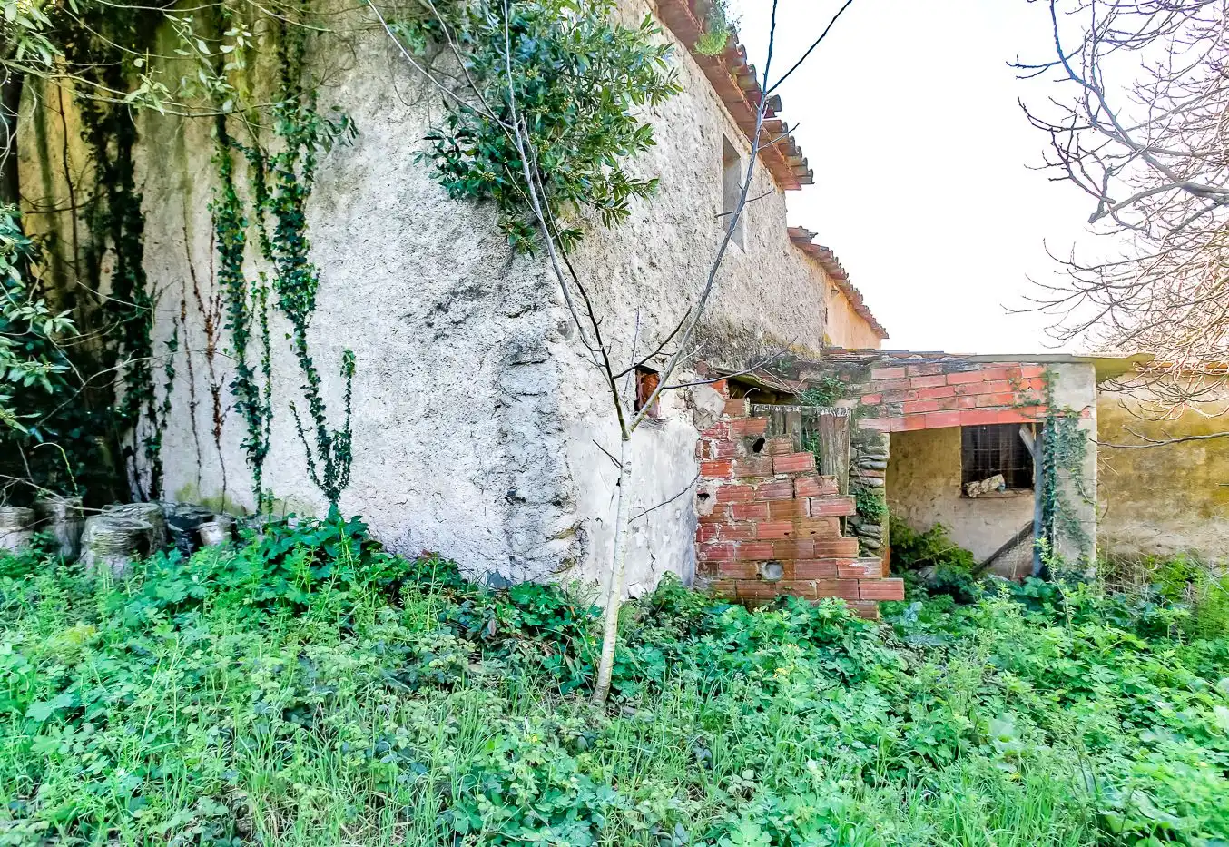 Vista exterior de Finca rústica en venta en Sant Antoni de Vilamajor