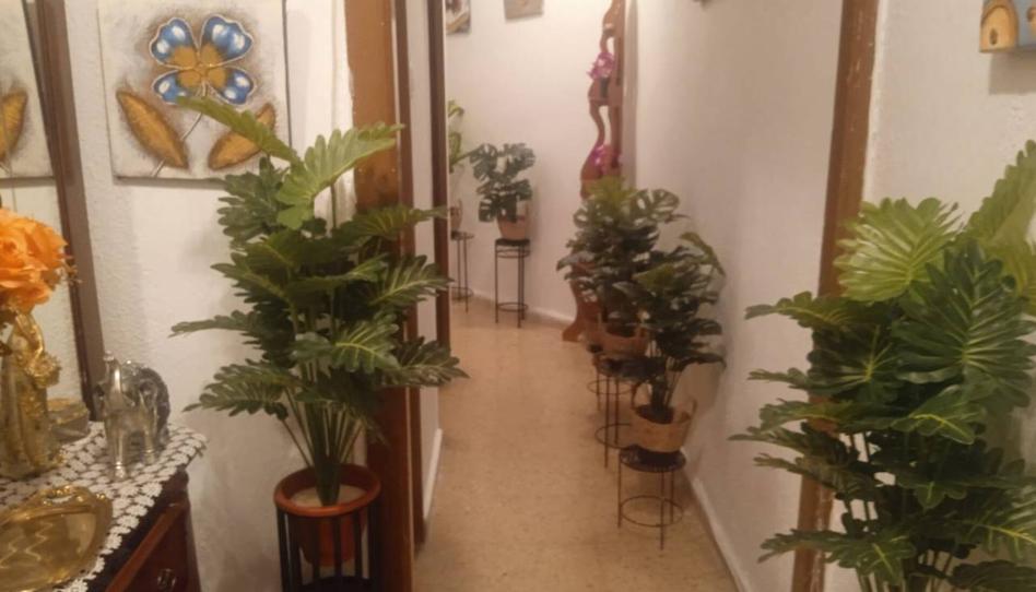 Photo 1 of Flat for sale in Serrería, L'Illa Perduda, Valencia