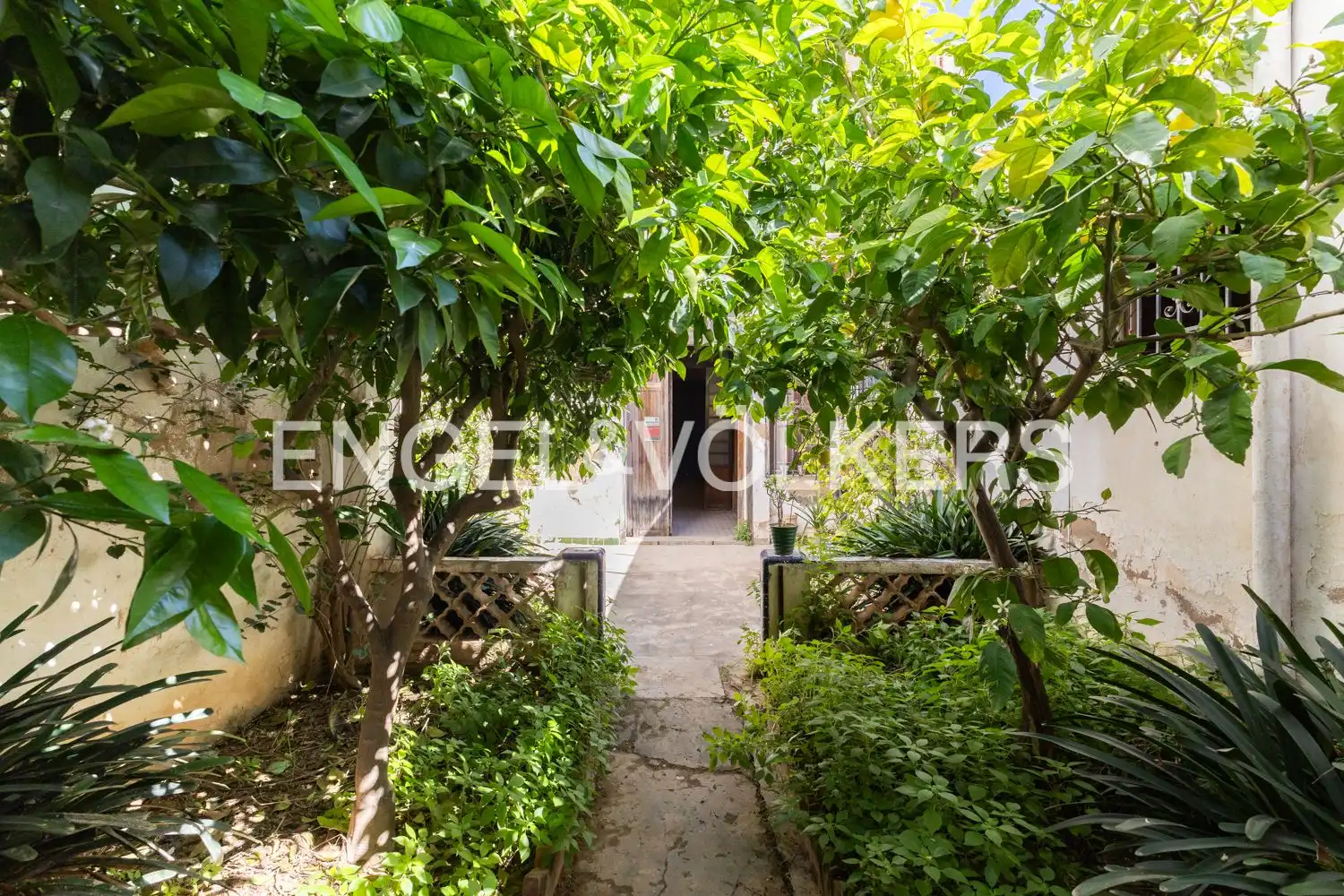 Houses for sale in Alfafar