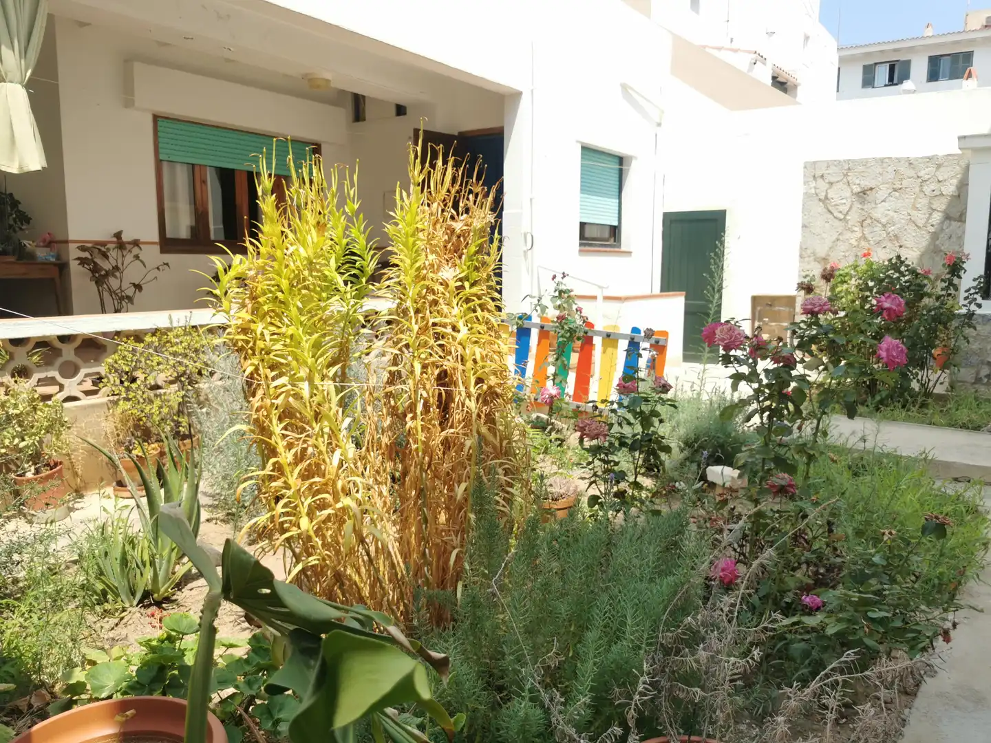 Jardí de Casa o xalet en venda en Es Castell