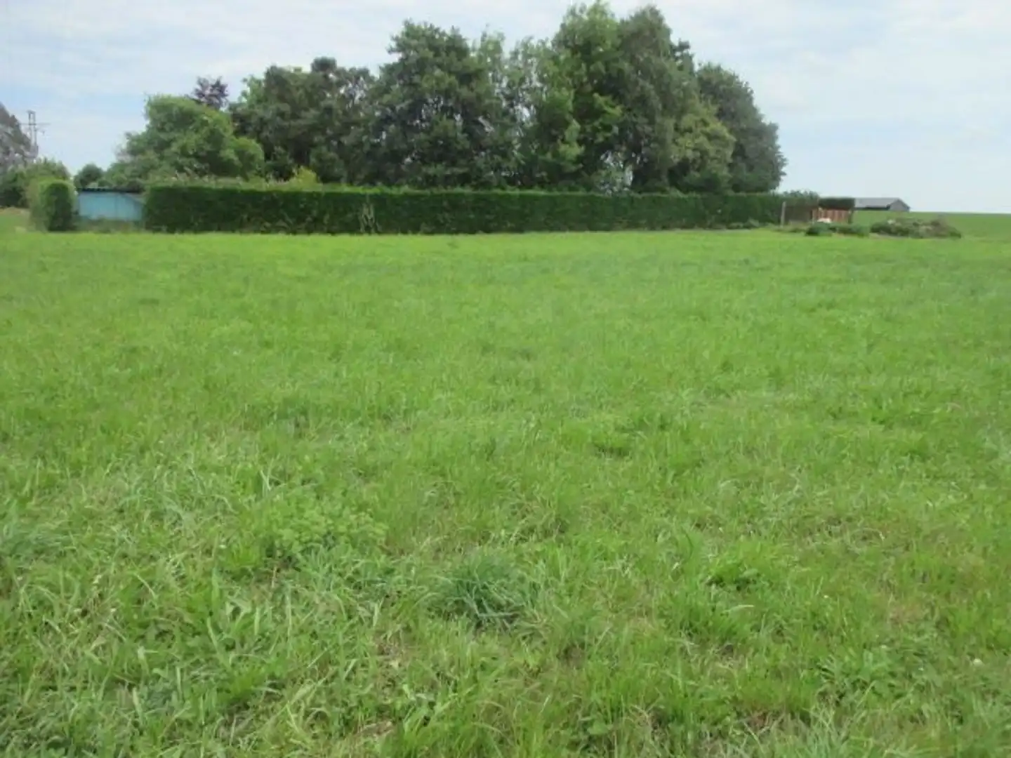 Grundstücke und Bauplätze zum Verkauf in Castropol, imagen 9