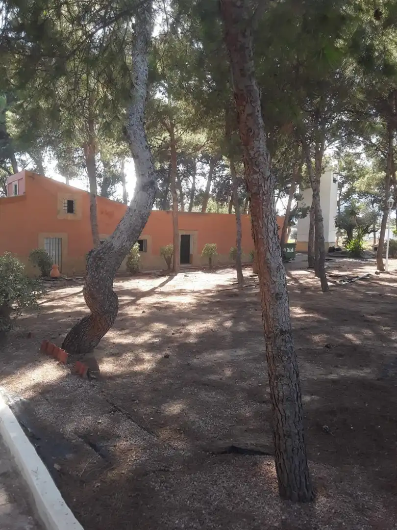 Jardín de Finca rústica en venta en Agost con Jardín privado, Terraza y Trastero