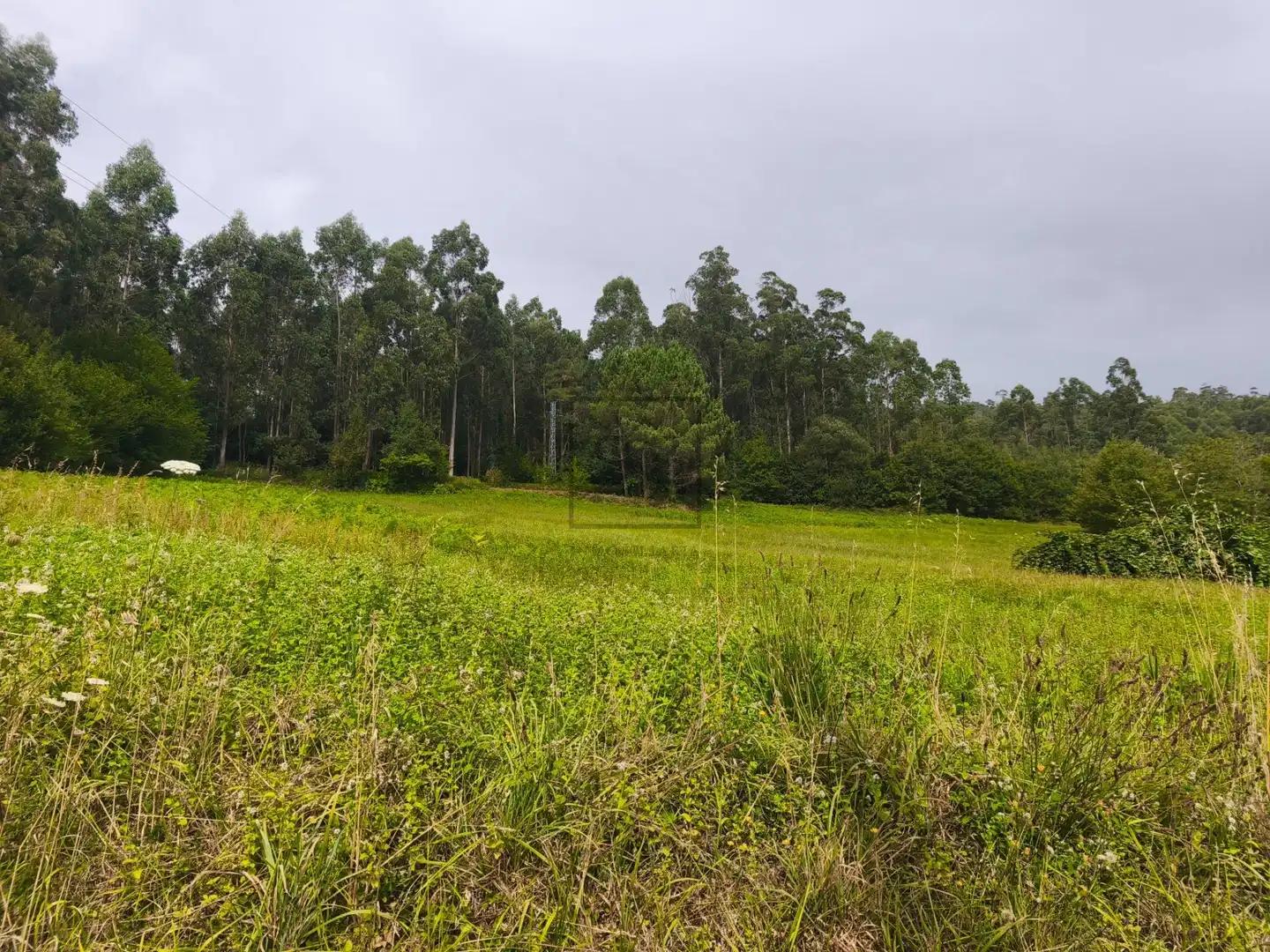 Casa en venda a SEARA. FERREIRA, imagen 46