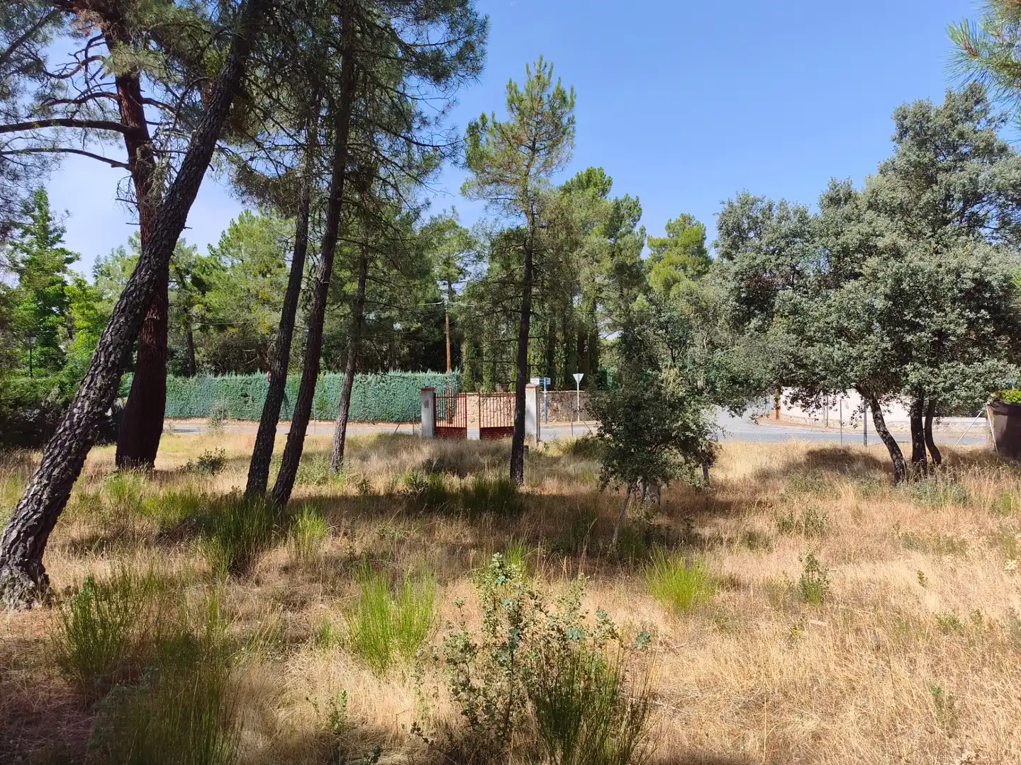 Terreny residencial en venda a Calle de los Abetos 106, imagen 6