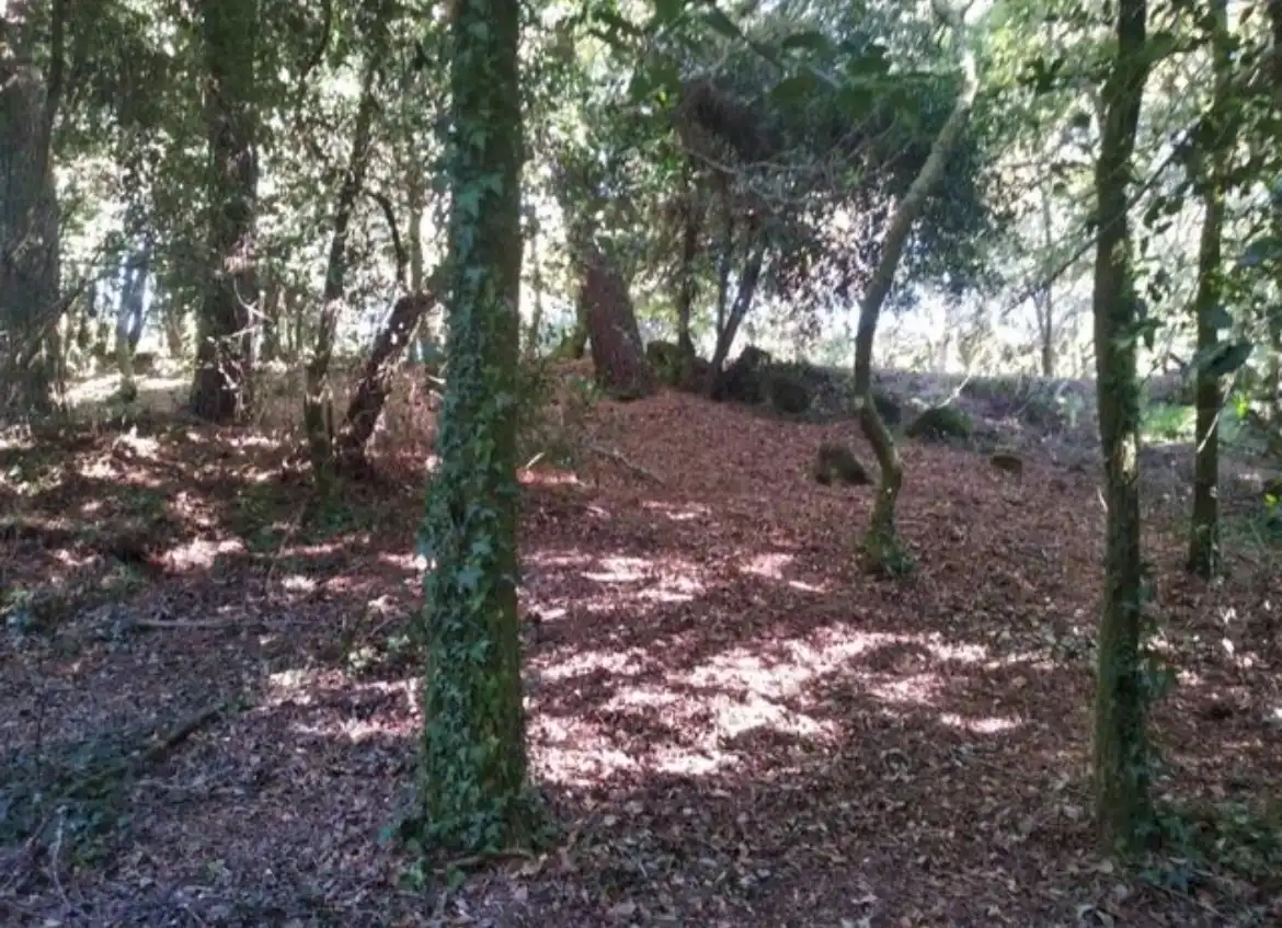 Terreno residenziale in vendita a N/A, imagen 5