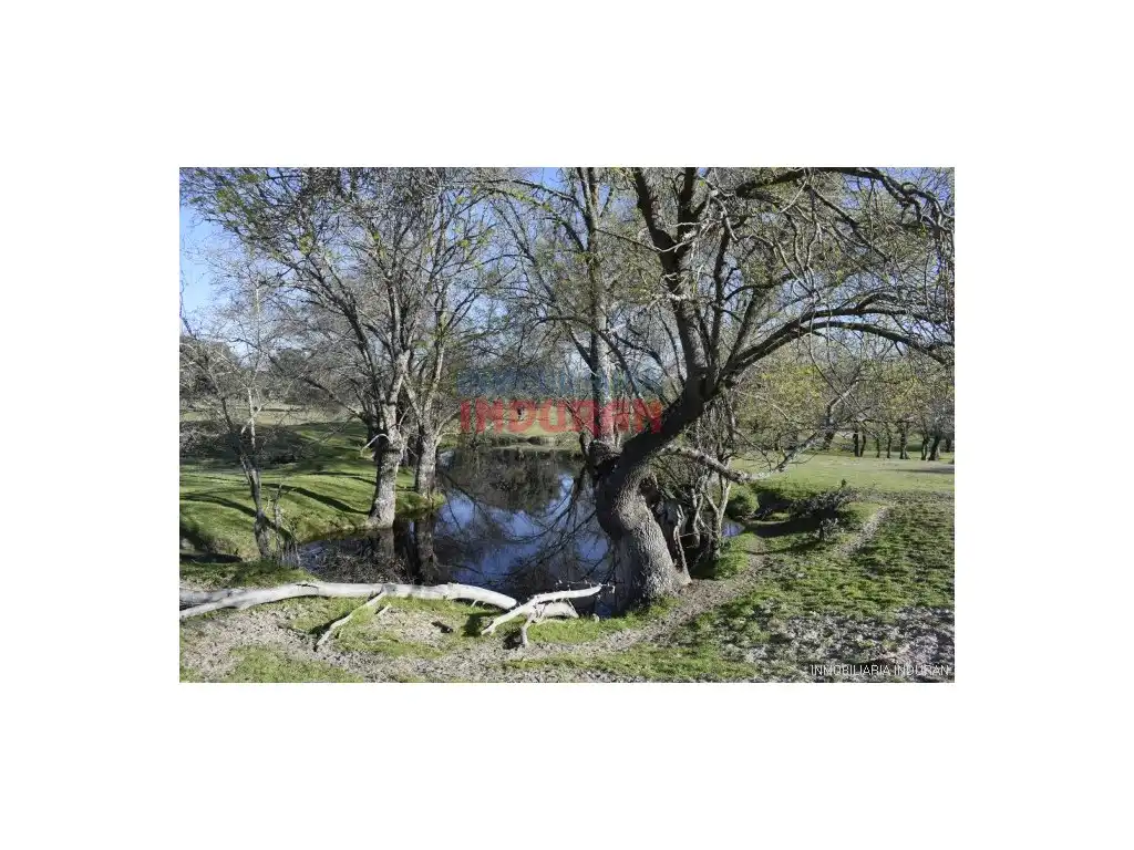 Finca rústica en venta en Las Ventas de San Julián