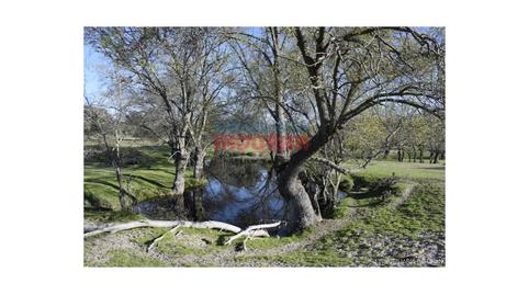 Foto 5 de Finca rústica en venda a Las Ventas de San Julián, Toledo