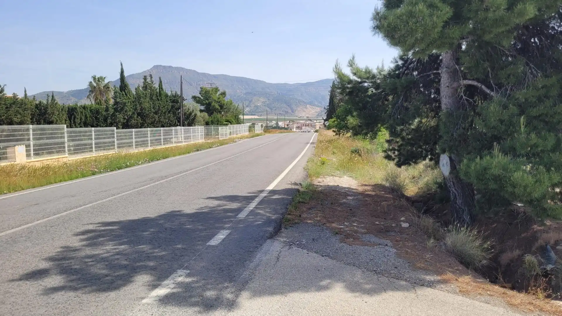 Vista exterior de Terreno en venta en Blanca
