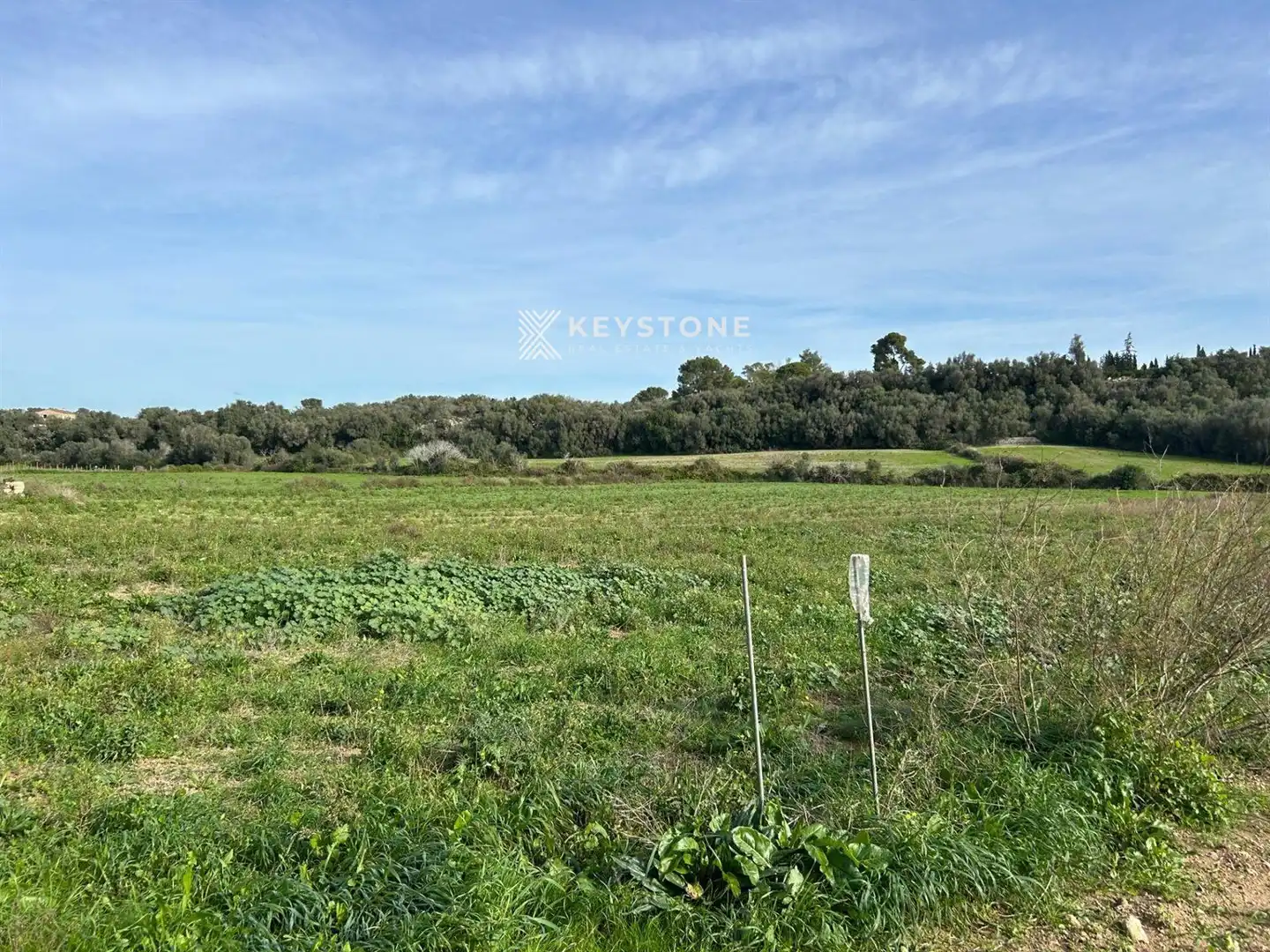 Rural land for sale in Muro