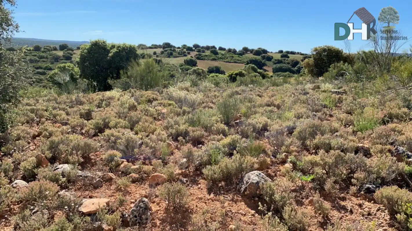 Terrenys i solars en venda a Miguelturra, imagen 20