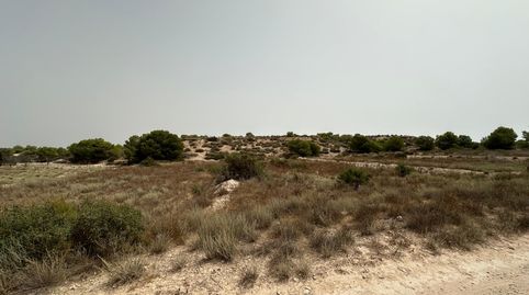 Parcela agraria de 3.476 mÂ en una excelente ubicaciÃn en La Marina, ElchePresentamos esta magnÃfica parcela agraria de 3.476 mÂ,, imatge 3