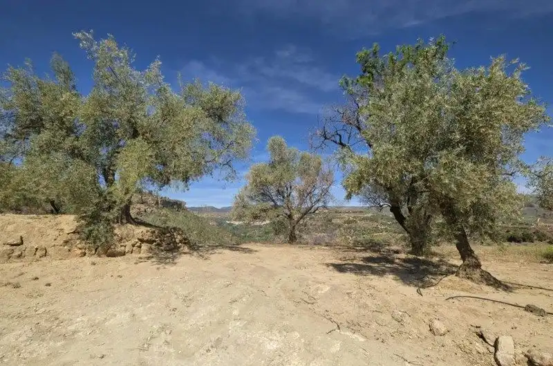Terreno rustico in vendita a El Valle, imagen 2