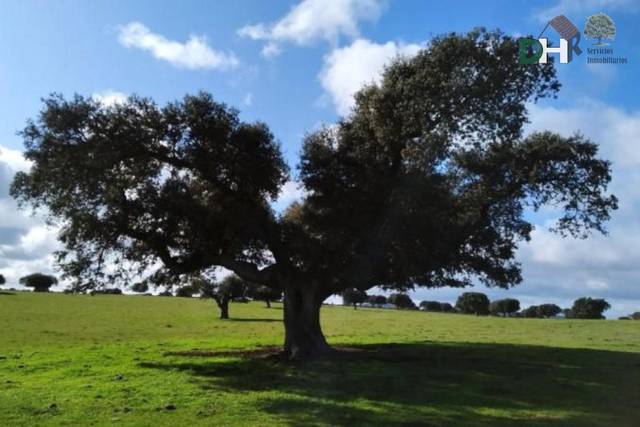 Terreno residencial en Venta en Tejares - Chamberí - Alcades