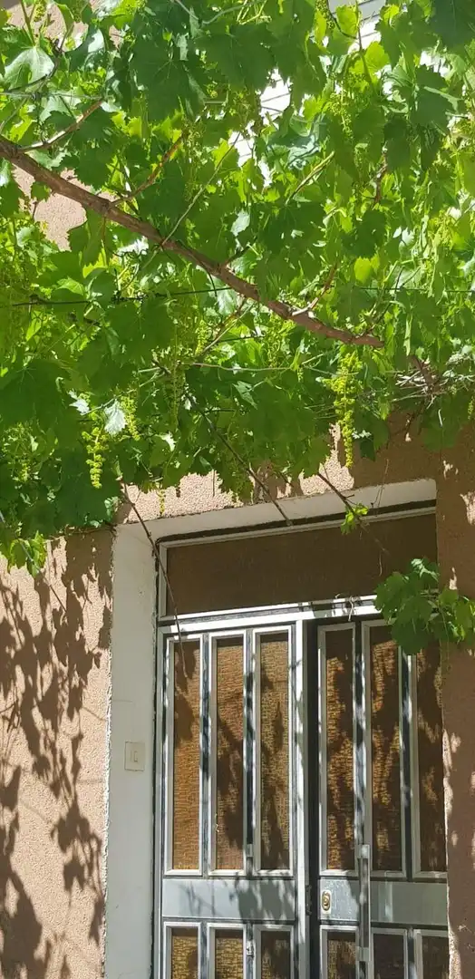 Vista exterior de Casa o chalet en venta en Alcóntar con Jardín privado, Terraza y Trastero
