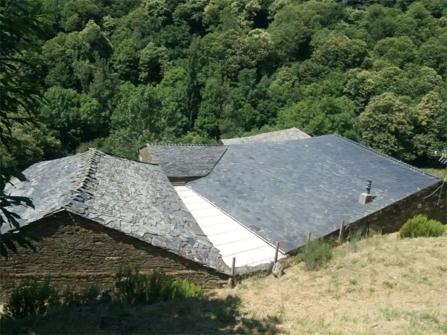 Vista exterior de Finca rústica en venta en Acea de Olga - Augas Férreas