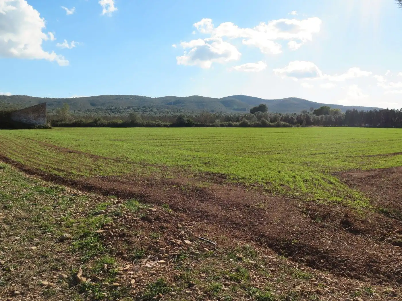 Rural land for sale in Godall, imagen 5