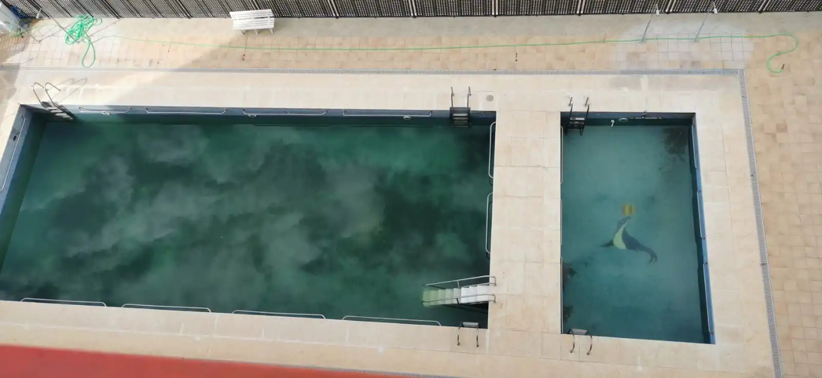 Piscina de Pis de lloguer en Torreblanca amb Terrassa, Piscina i Moblat