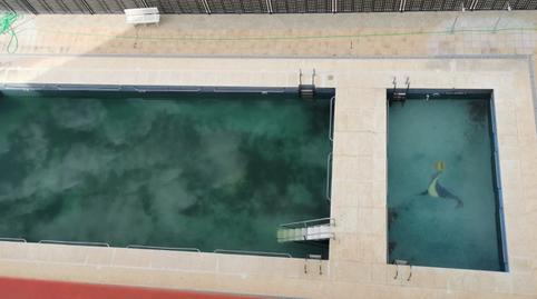 Photo 3 of Flat to rent in Avenida Rey Juan Carlos I, Torreblanca, Castellón