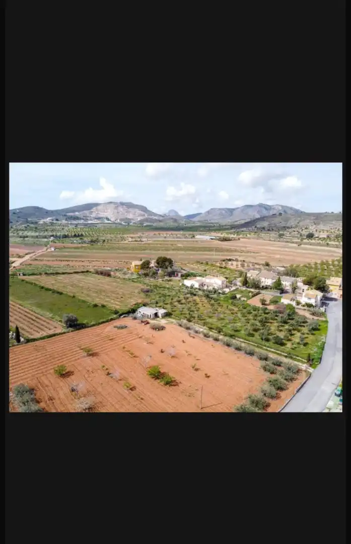 Rural land for sale in Hondón de las Nieves / El Fondó de les Neus, imagen 3