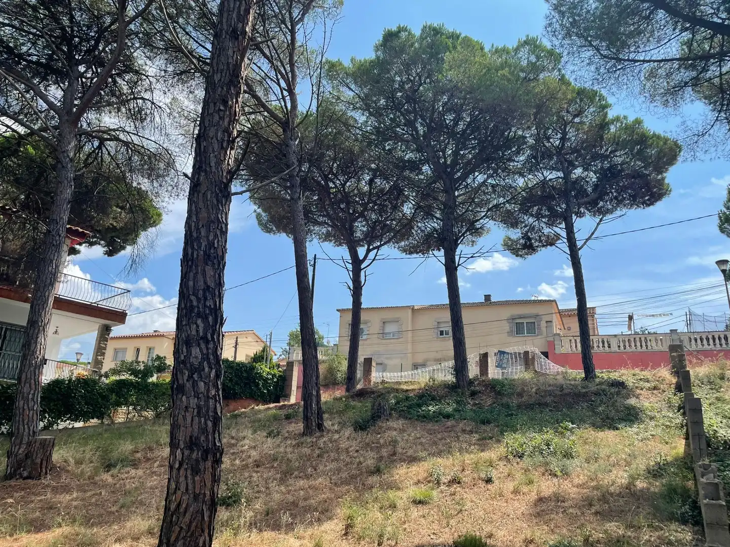 Terreno residencial en venta en Mas Mora - Sant Daniel, imagen 17