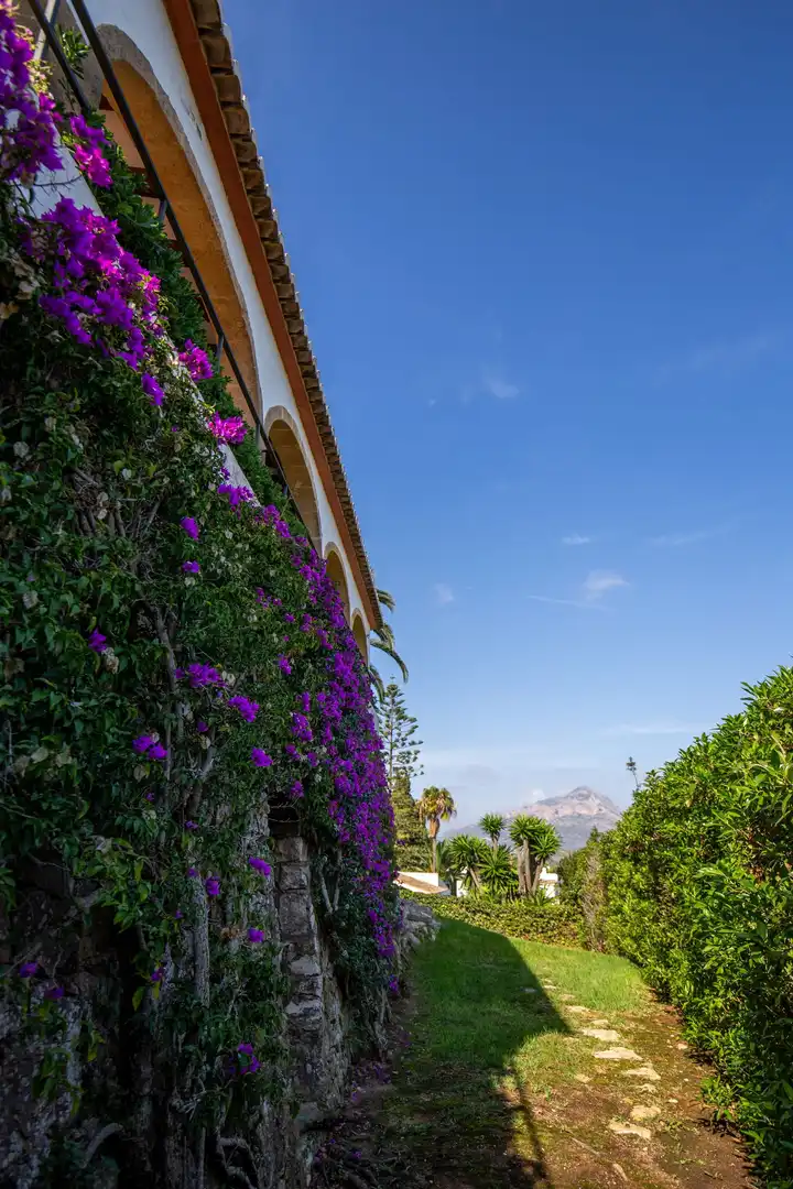 Exterior view of Houses for sale in Jávea / Xàbia  with Heating, Private garden and Terrace
