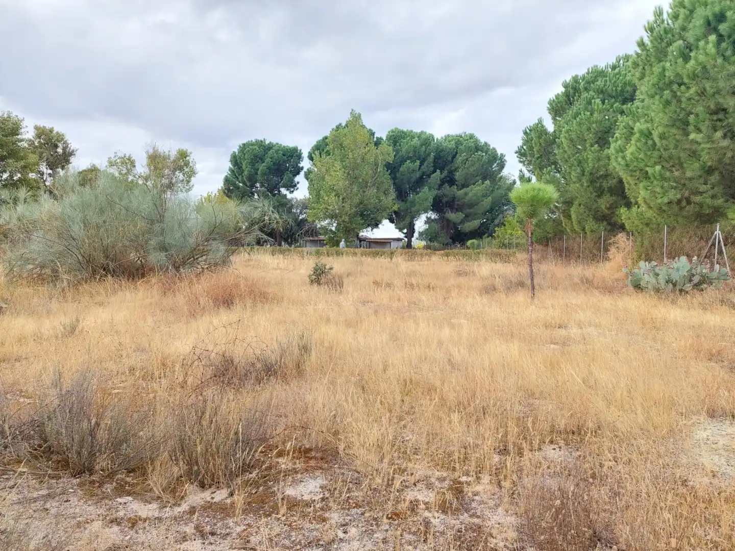 Terreni e lotti in vendita a Santa Cruz del Retamar pueblo, imagen 9