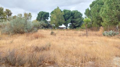 Photo 5 of Land for sale in Santa Cruz del Retamar pueblo, Toledo