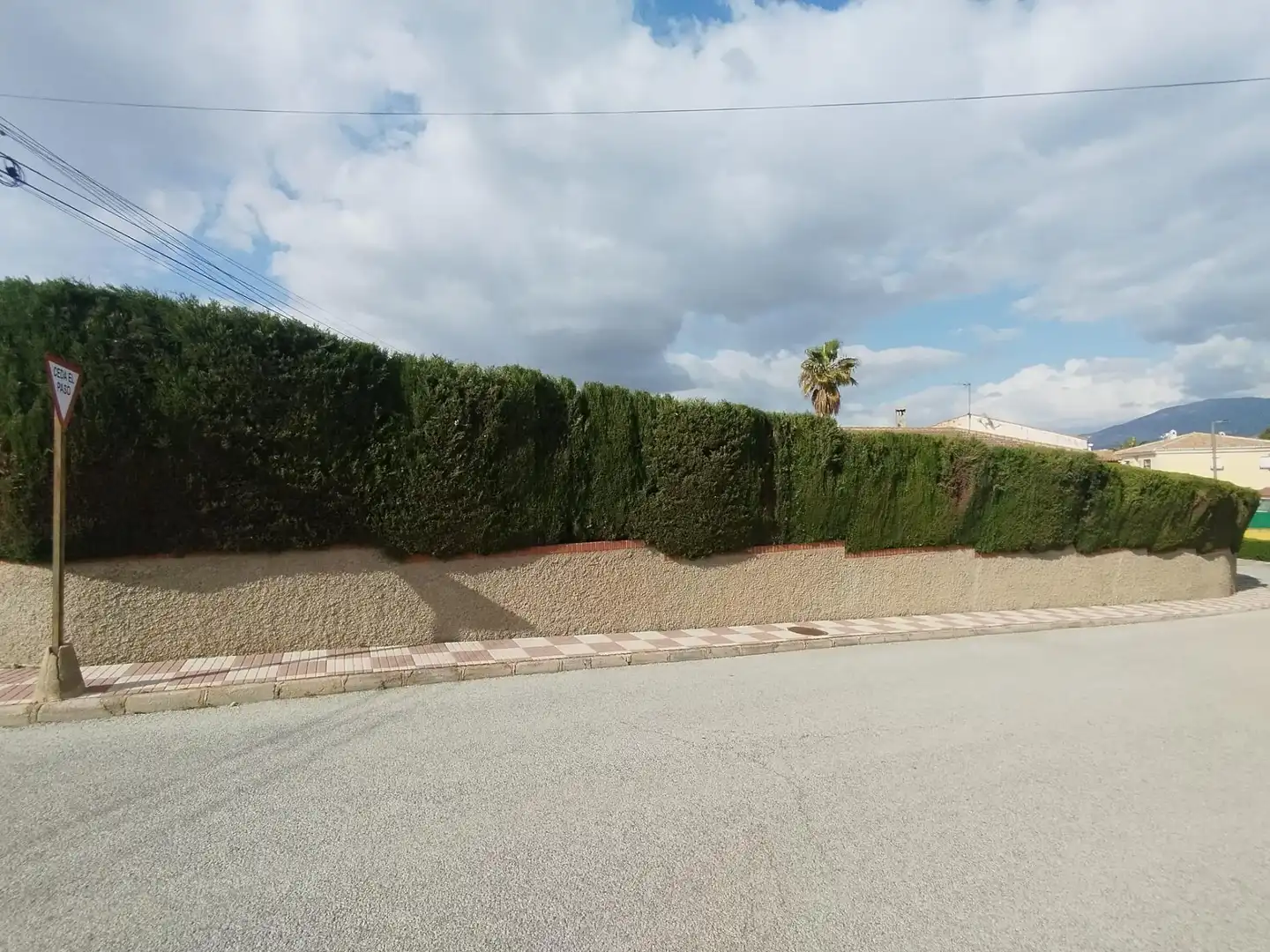 Chalet con piscina en venta en Calle de la Adelfa, imagen 19