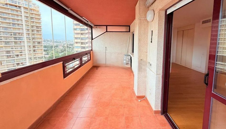 Apartamento en venta en Zona Levante - Playa Fossa - 5