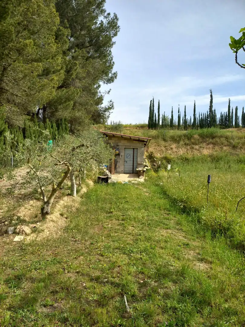 Rural land for sale in Ginestar, imagen 55