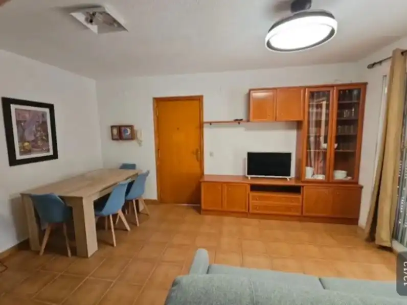 Sala de estar de Apartamento de alquiler en Playa de la Concha