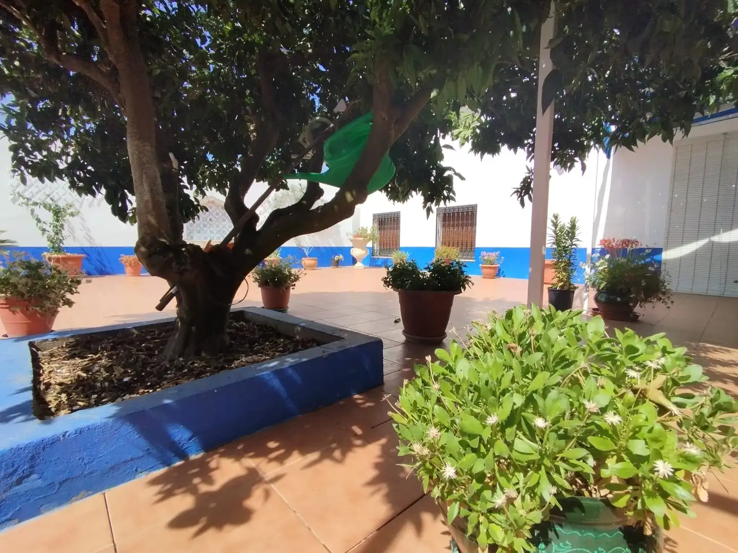 Terraza de Casa o chalet en venta en Aljucén