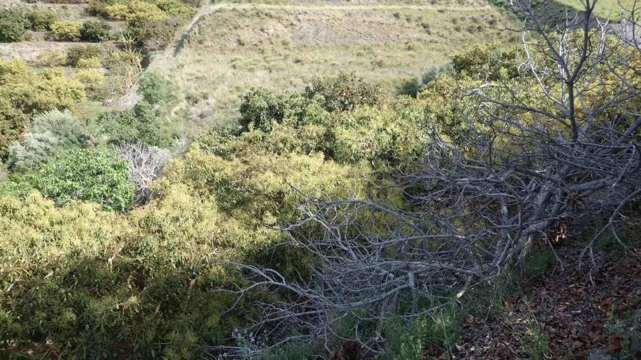 Finca rústica en venda en Molvízar
