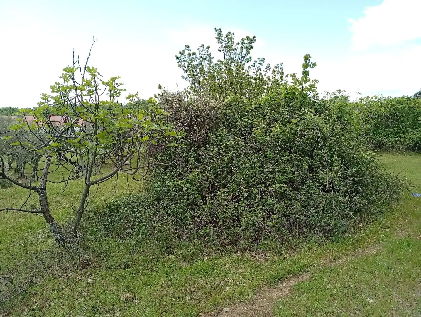 Terreni e lotti in vendita a Villanueva de la Vera, imagen 22